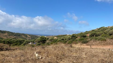 Photo 3 of Country homes for sale in Tarifa ciudad, Tarifa