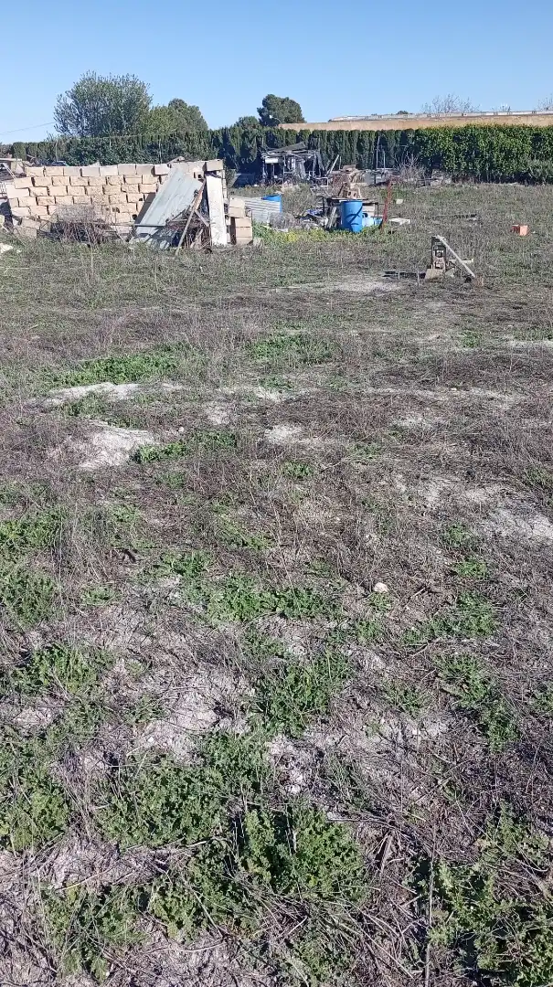 Terreno rustico in vendita a Pedanías - Extrarradio, imagen 2