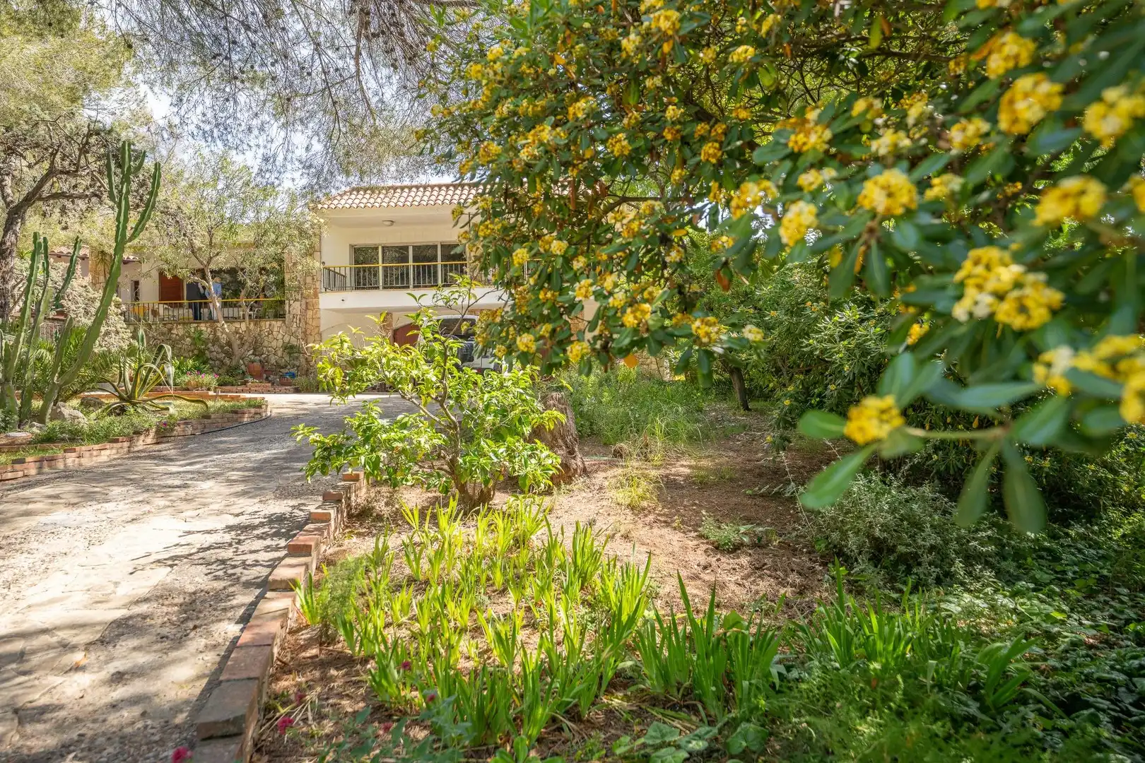 Villa avec piscine à vendre à MUNTANYA OLIVA-I, imagen 82