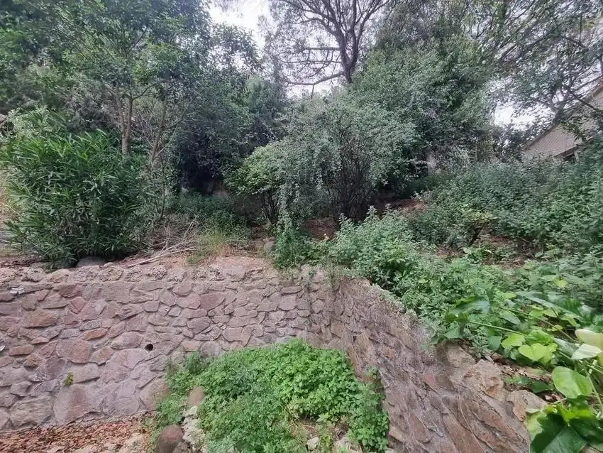 Casa amb piscina en venda a PINS, imagen 5