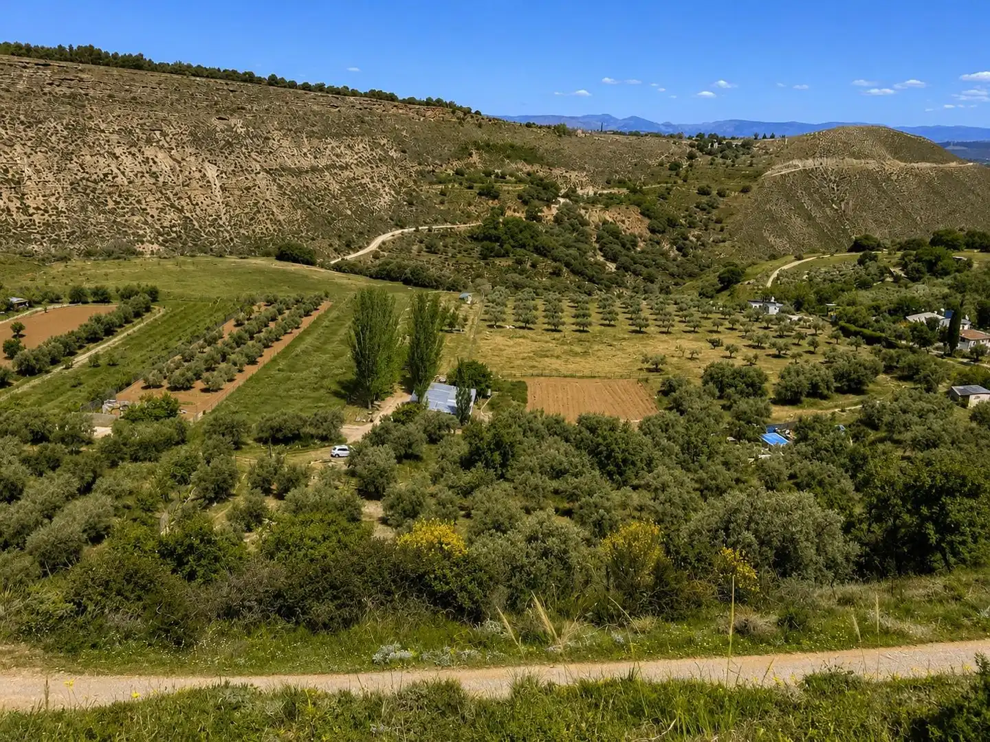 Finca rústica en venta en Monachil pueblo