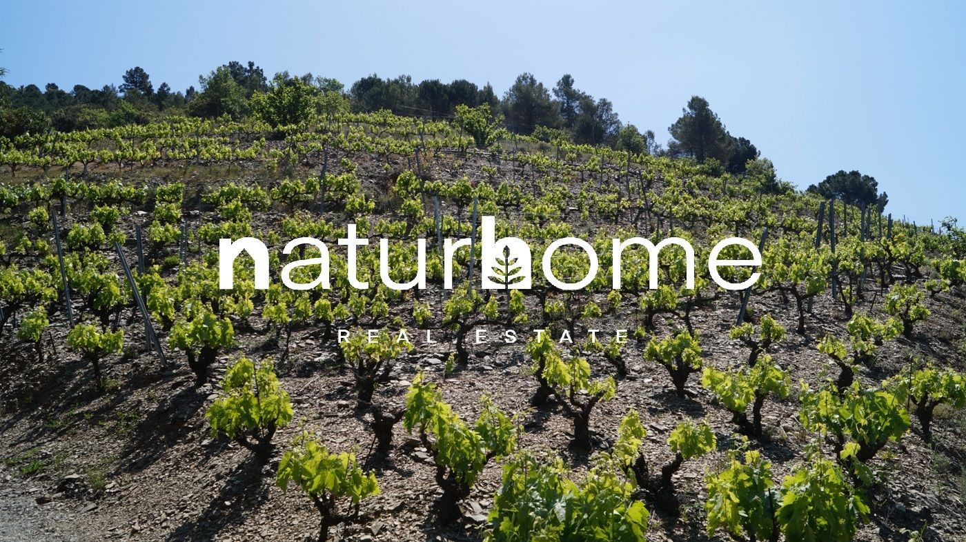 Land for sale in Gratallops