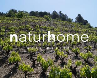 Land for sale in Gratallops