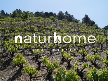 Terreno rústico en venta en T-710 79