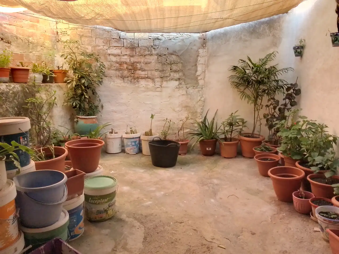 Casa rústica amb jardí en venda a Ubrique, imagen 18