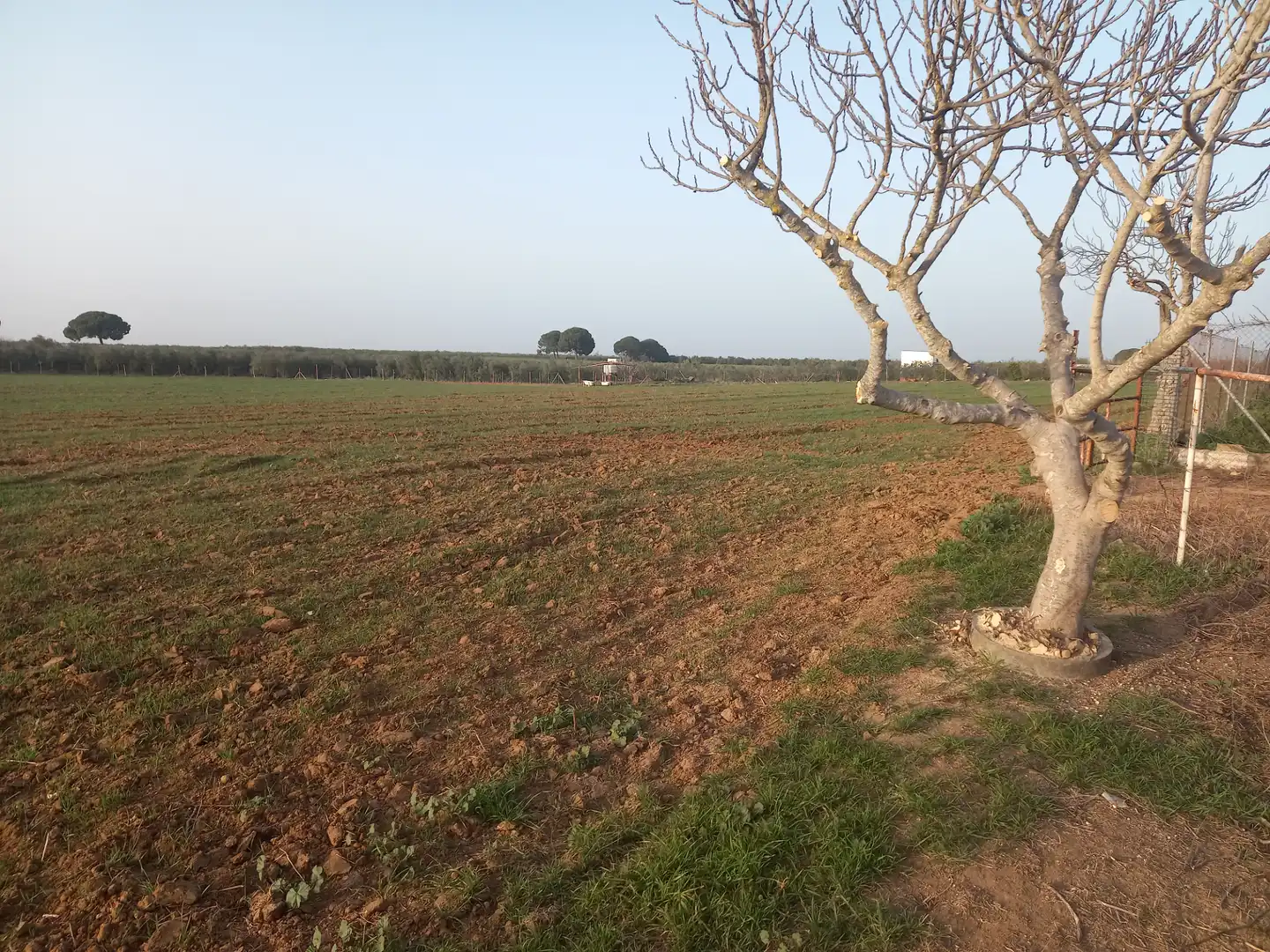 Terreny rústic en venda a Pedanías Norte, imagen 3