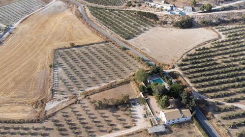 FINCA RURAL Y CORTIJO DE ÉPOCA CON LICENCIA VTAR. GILENA. SEVILLA., imatge 4