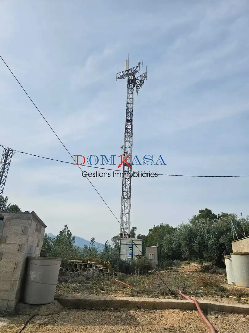 Exterior view of Industrial buildings for sale in Xerta