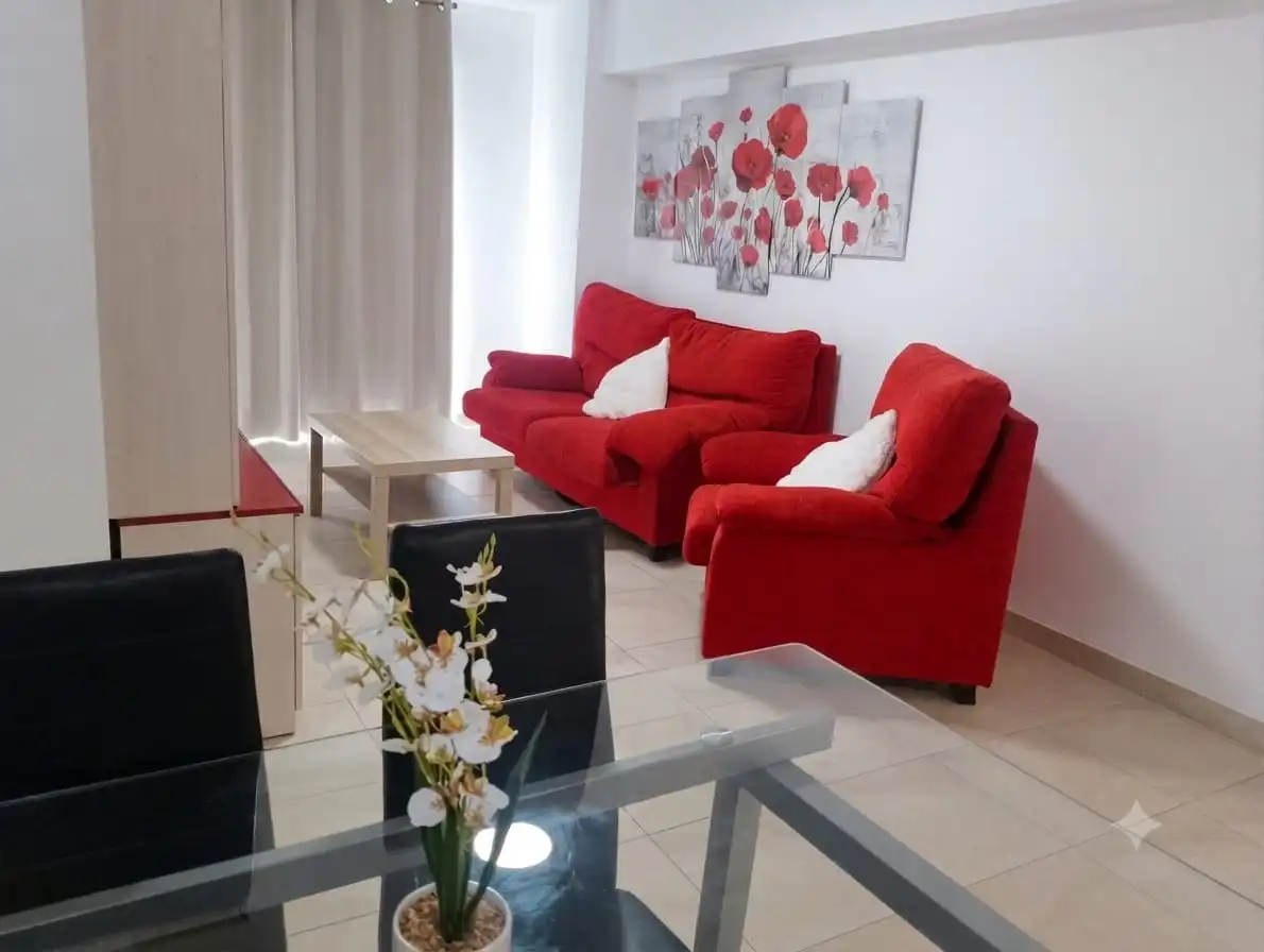 Living room of Flat for rent in Murcia  with Furnished, Oven and Washing machine