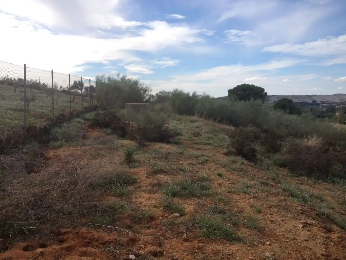 Terreno residencial en venta en Arcos de la Frontera, imagen 5