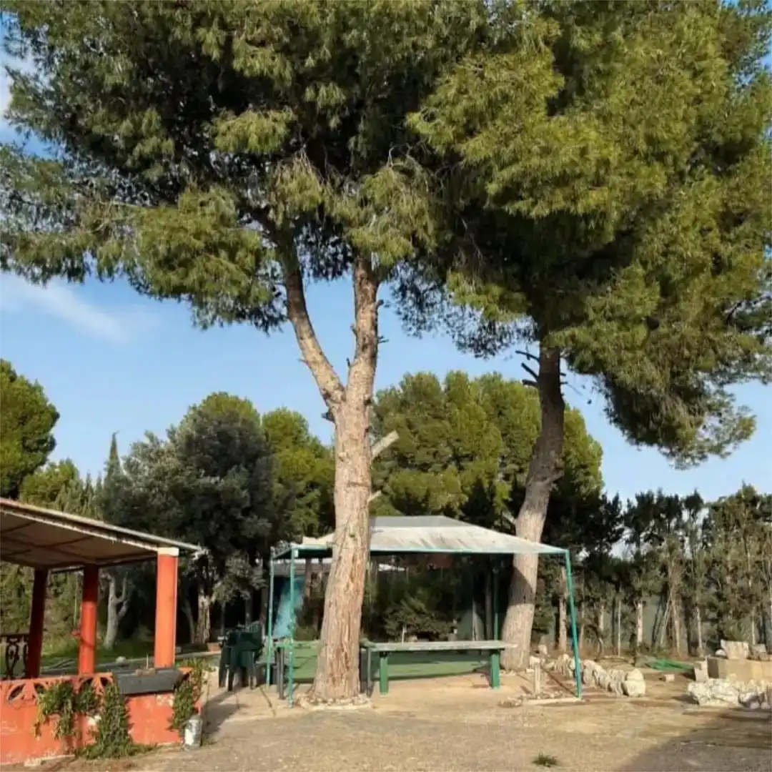 Jardí de Pis en venda en Aranda de Moncayo amb Jardí privat, Traster i Piscina