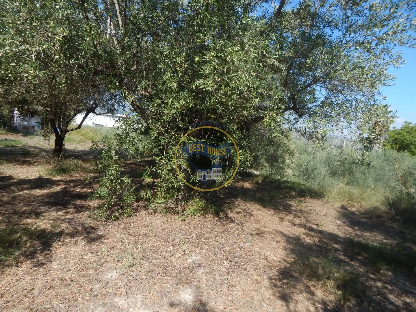 Terrain rustique à vendre à Sant Josep - Zona Hospital, imagen 6
