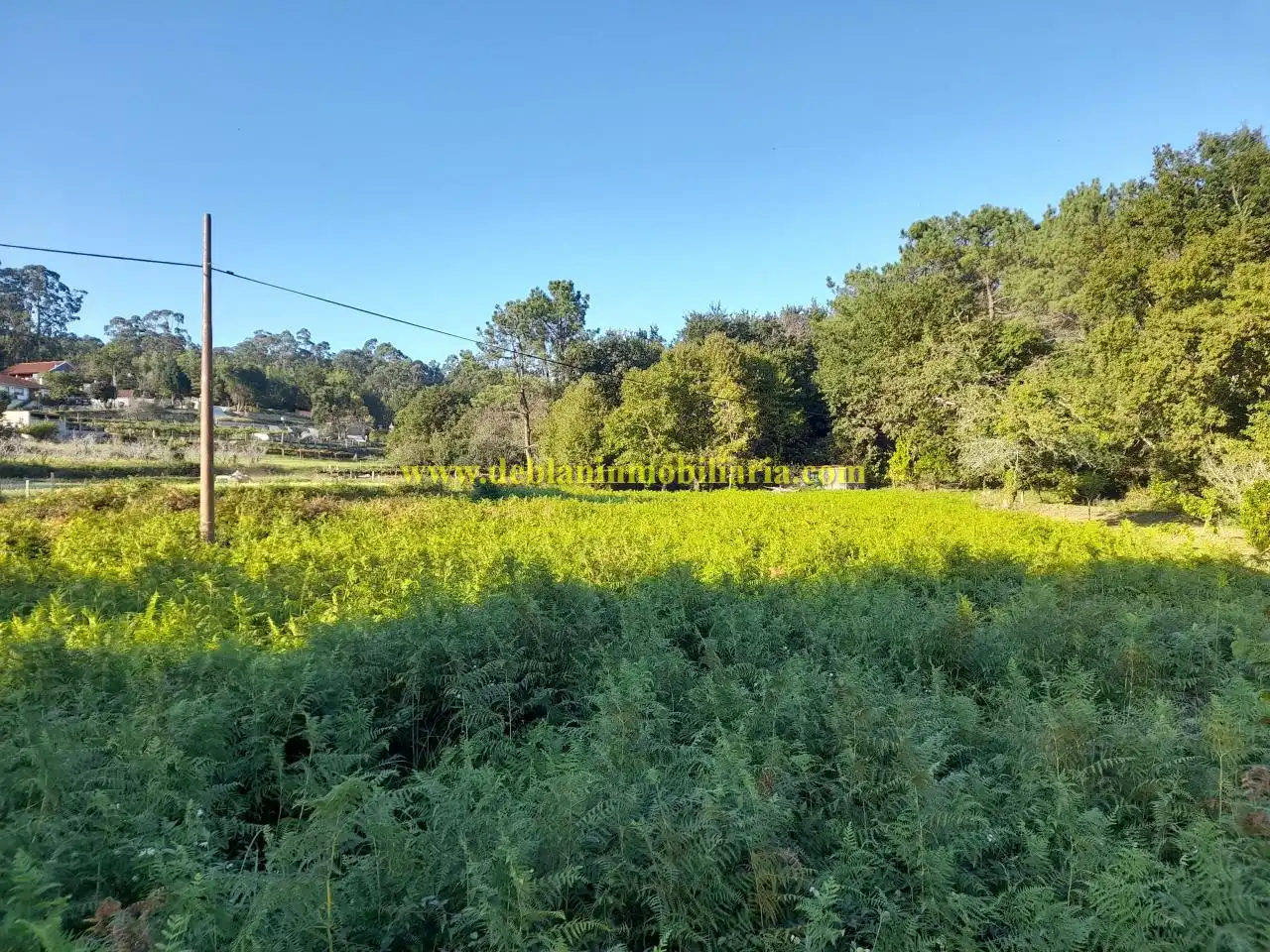 Rural land for sale in Tomiño