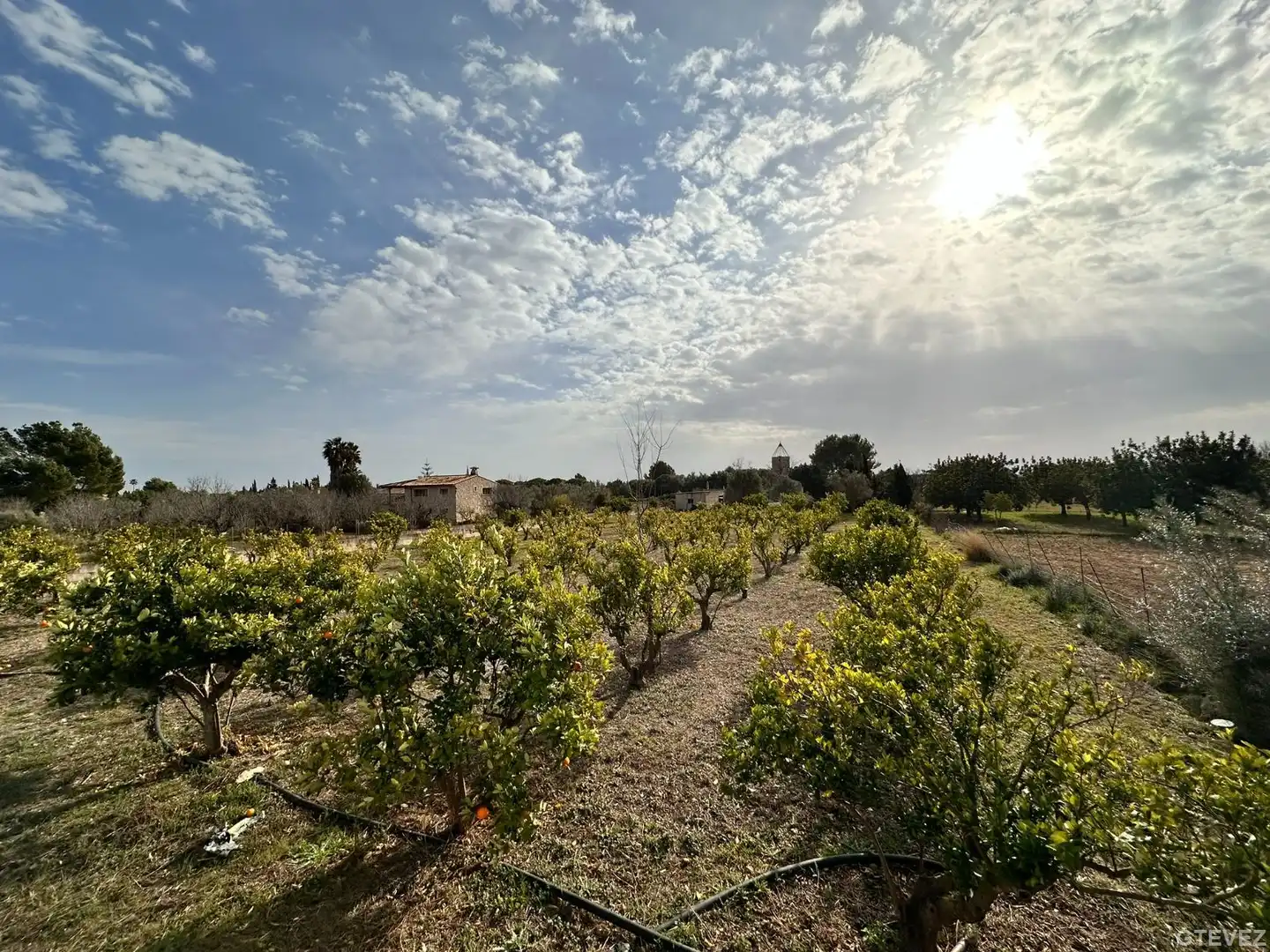 Finca rústica en venda en Binissalem amb Calefacció, Terrassa i Traster