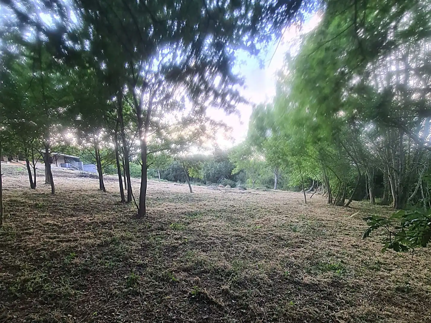 Terreno en venta en Bakio
