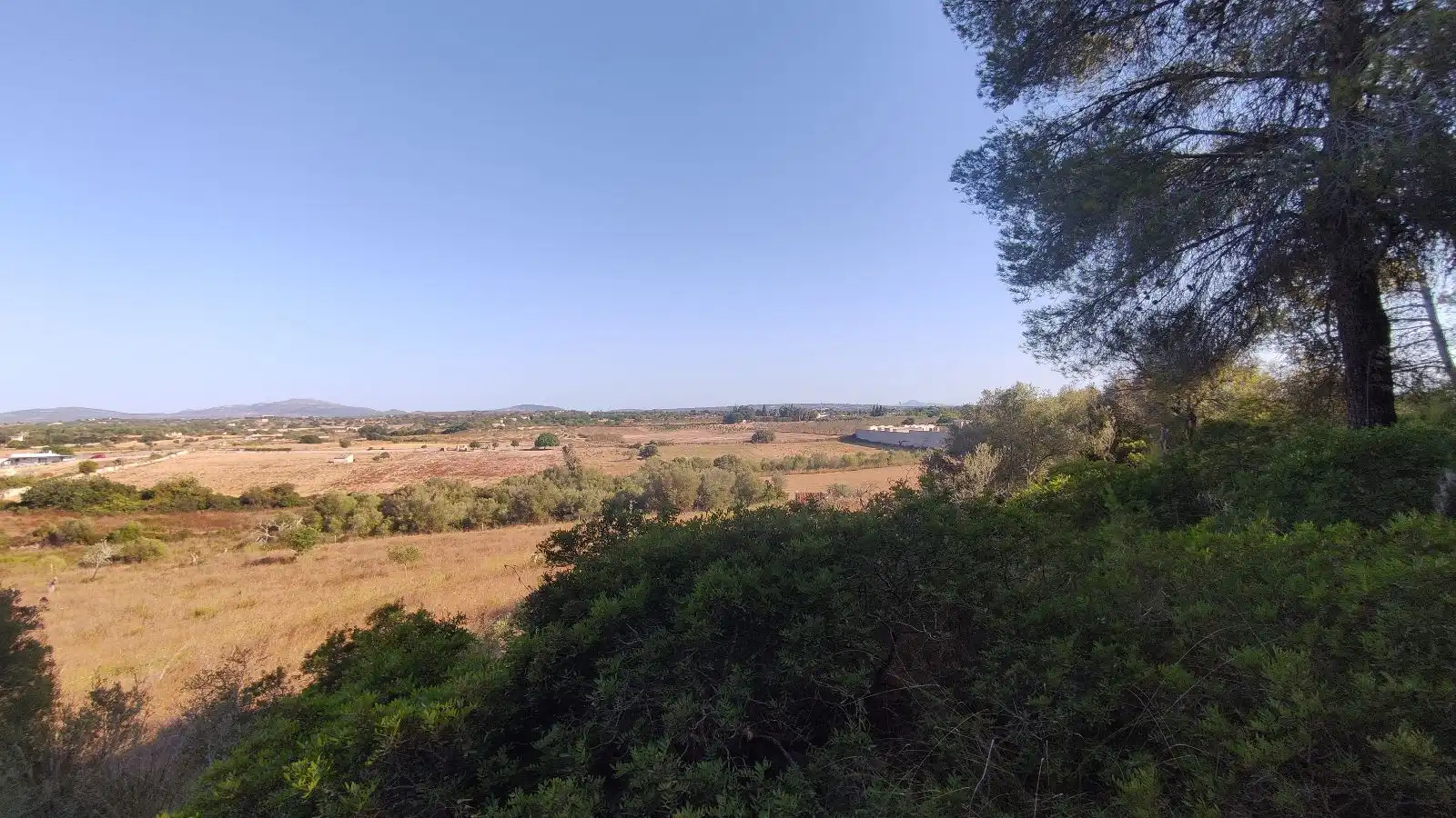 Wohnbaugrundstück zum Verkauf in Santa Margalida Poble, imagen 9