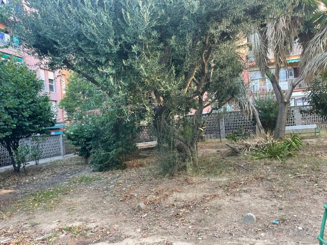 Appartamento con terrazza in vendita a Calle Sant Isidre, imagen 42