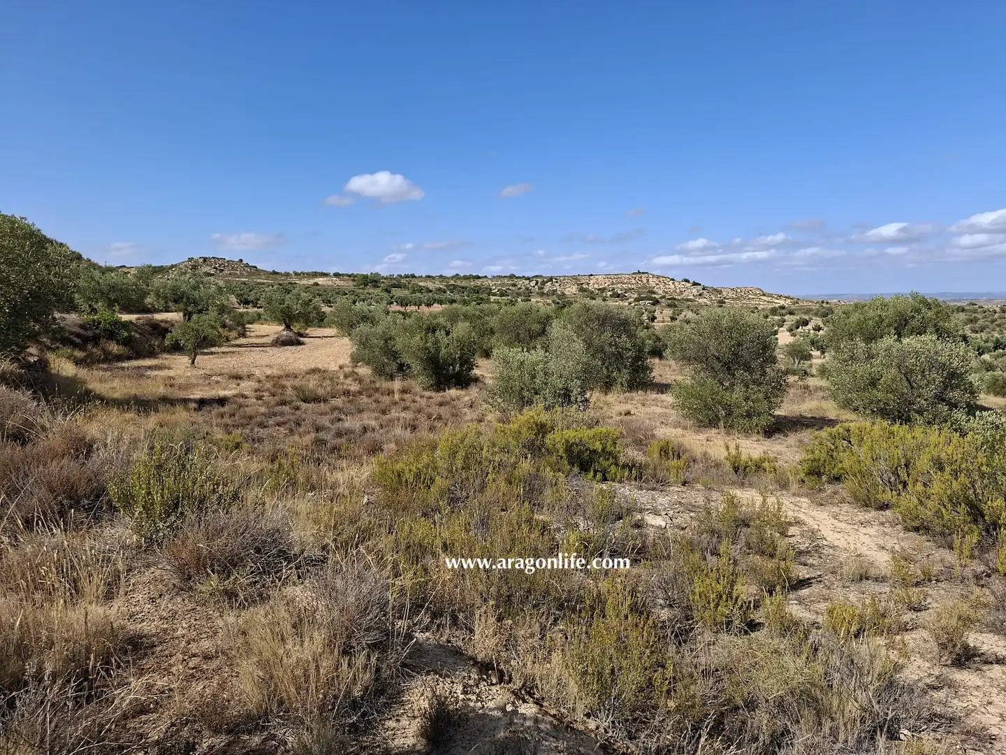 Terreni e lotti in vendita a Maella, imagen 14