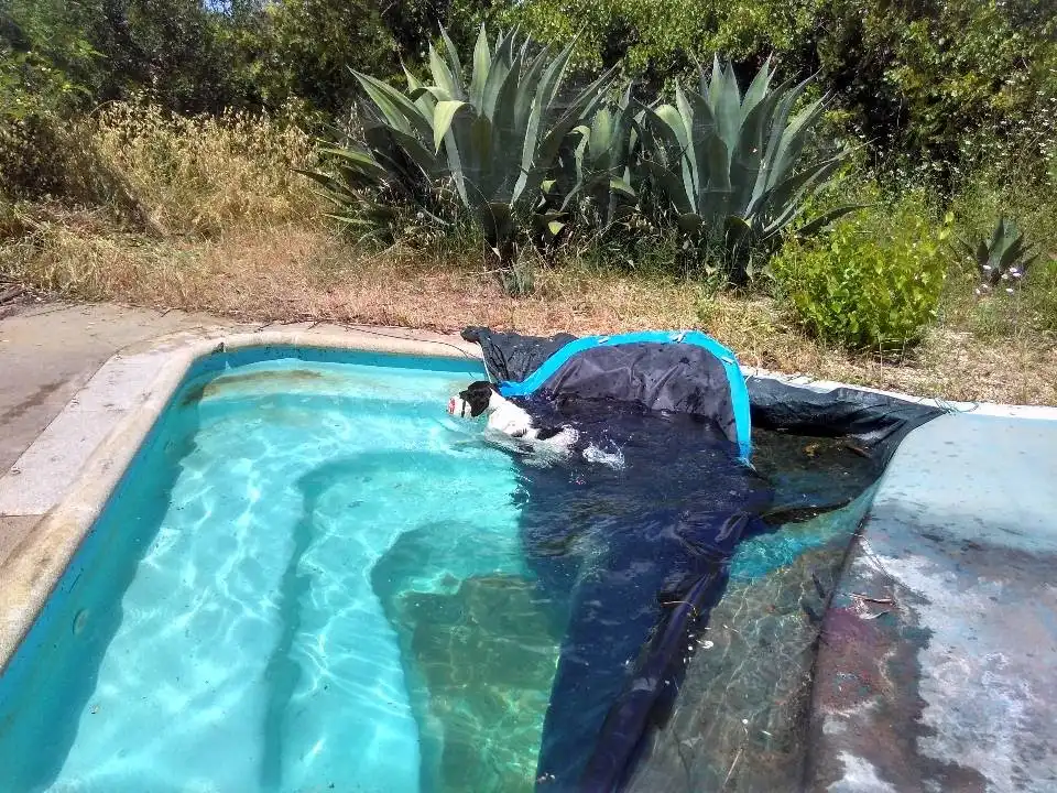 Rustikales Grundstück zum Verkauf in Rociana del Condado, imagen 7
