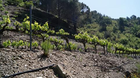 Photo 2 of Land for sale in T-710, 79, Gratallops, Tarragona