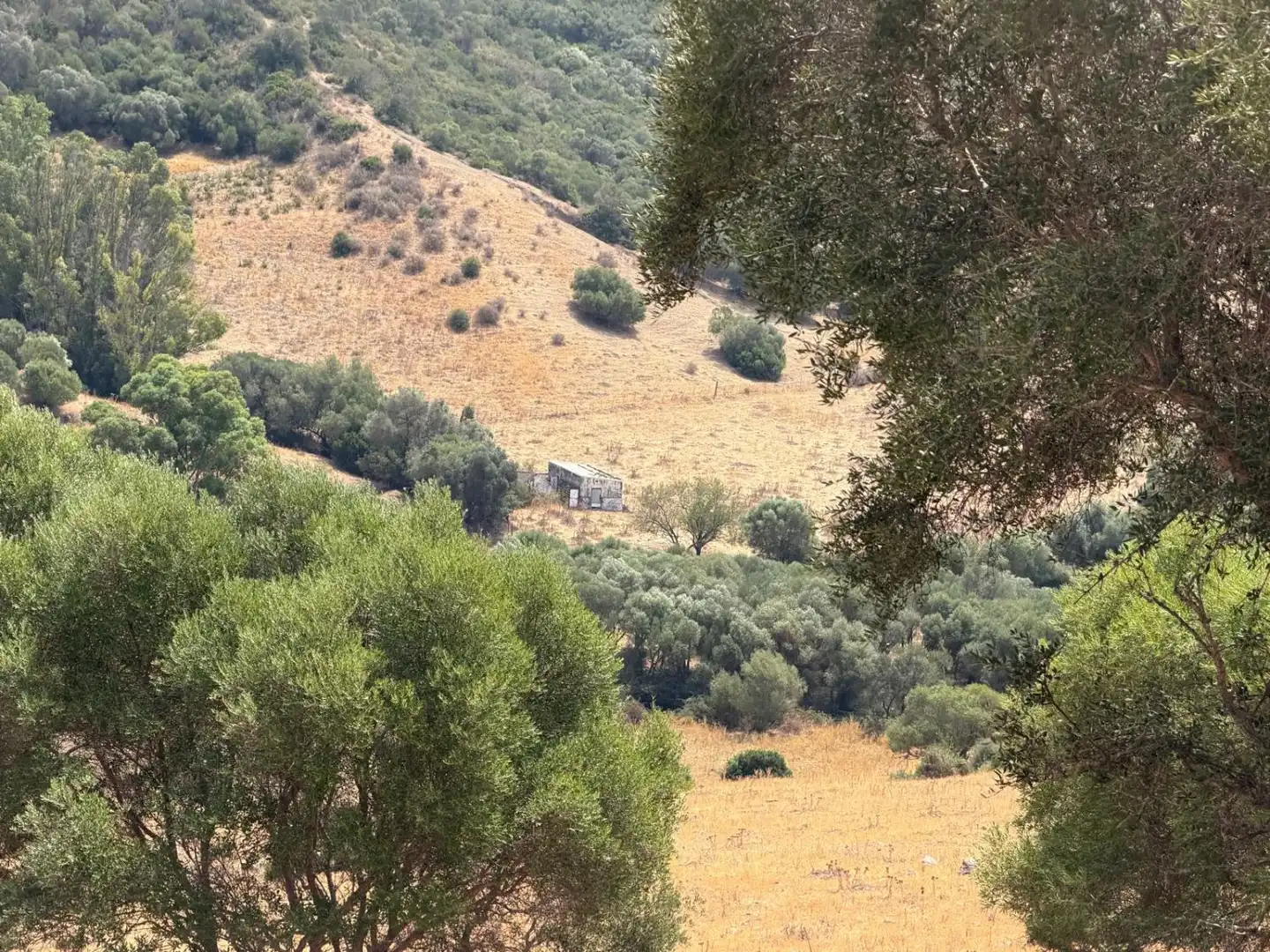 Casa rústica en venta en San Martín del Tesorillo, imagen 25