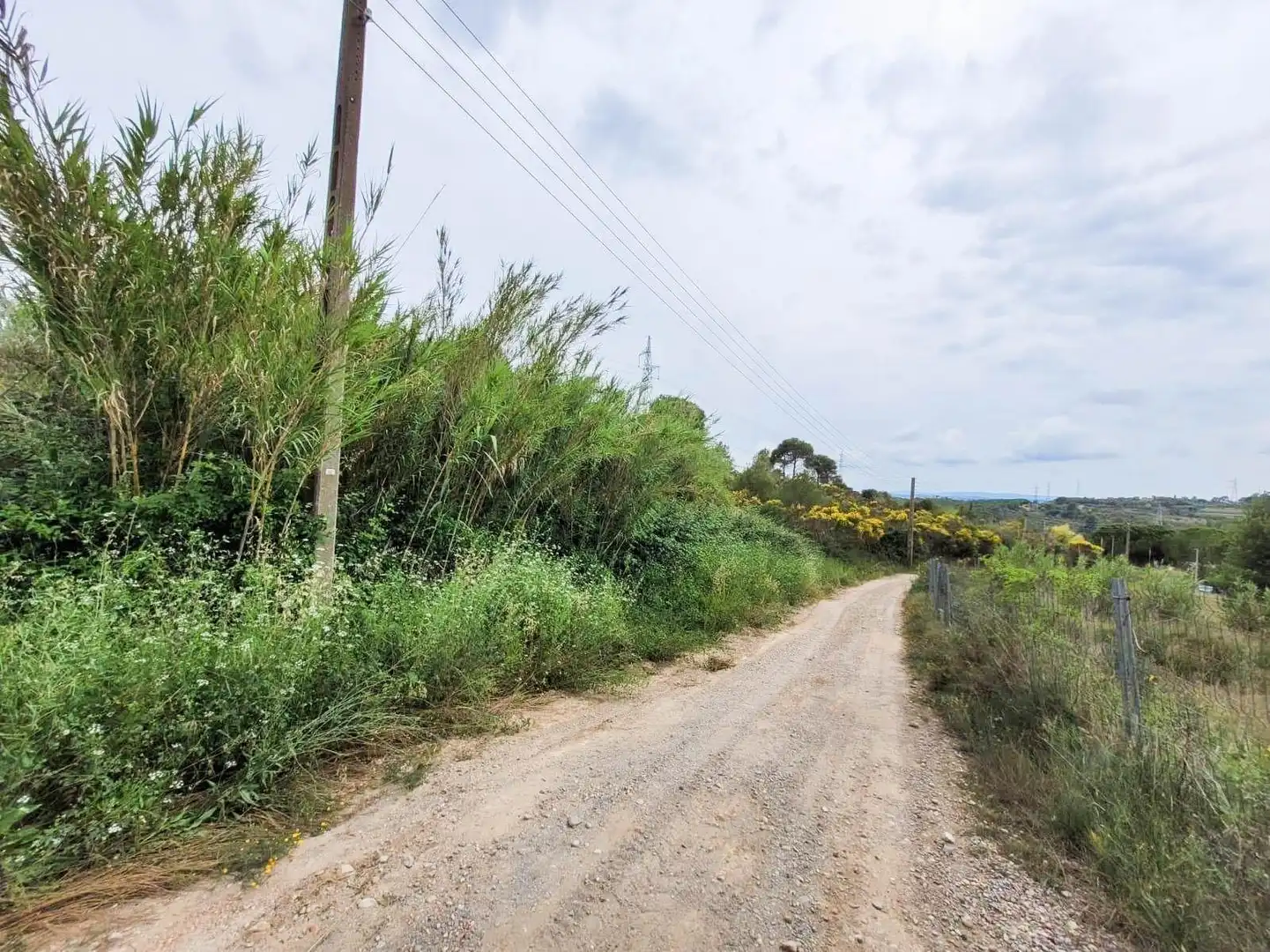 Terreno rústico en venta en Castellbisbal, imagen 12