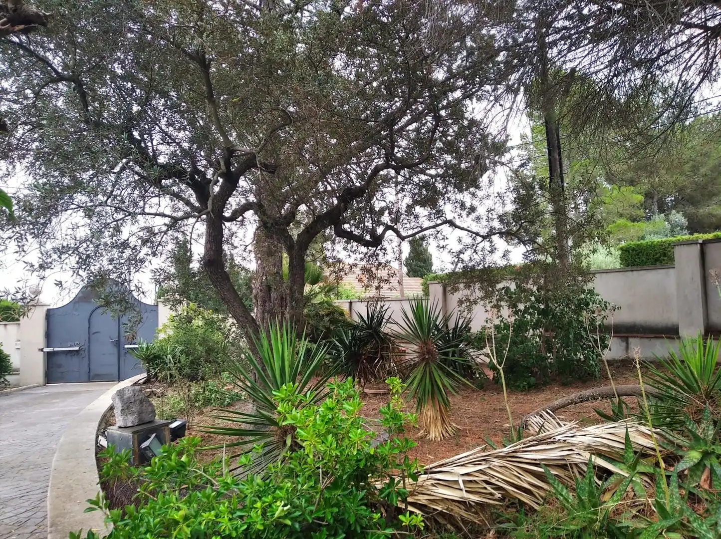 Villa con piscina in vendita a Carrer de les Acacies, imagen 22