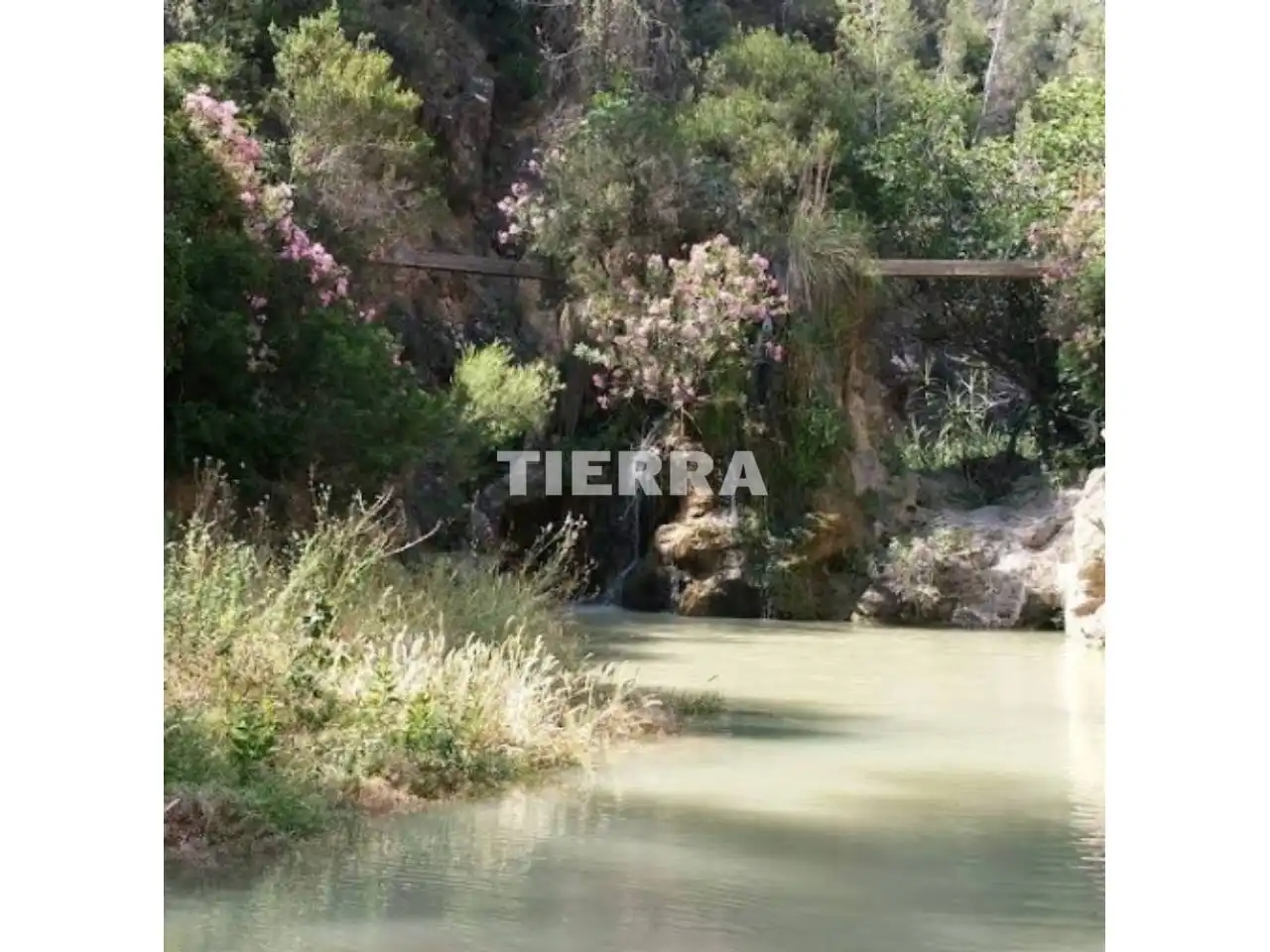 Buildings for sale in Socovos