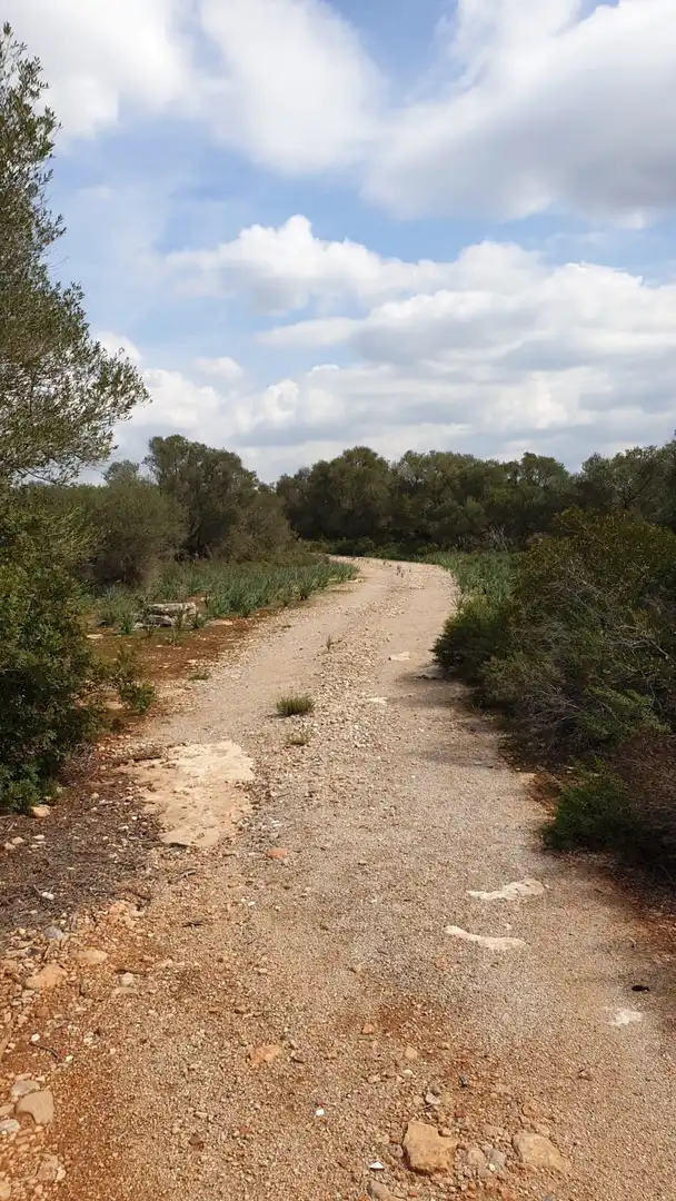 Wohnbaugrundstück zum Verkauf in Cala Pi - Vallgornera, imagen 3