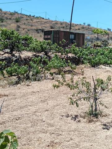 Terreno en Venta en Calle Fasnia, 0 en Fasnia