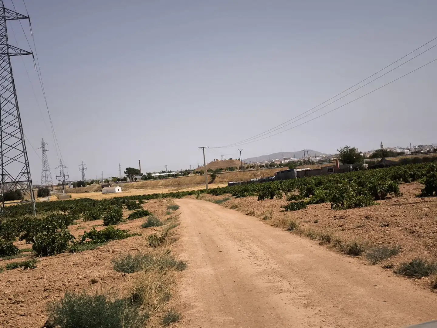 Casa rústica en venda a Valdepeñas, imagen 9
