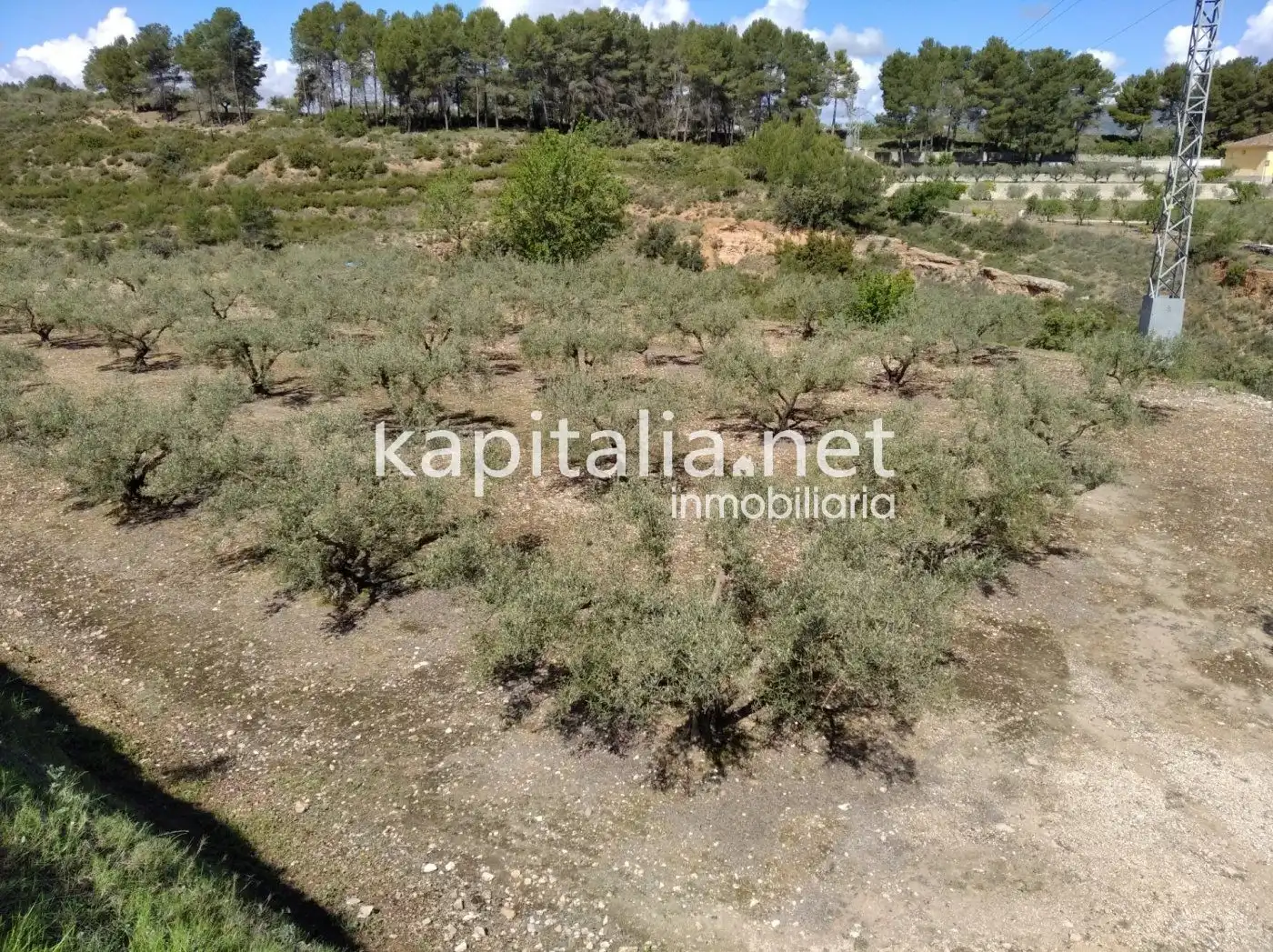 Finca rústica en venta en Ontinyent