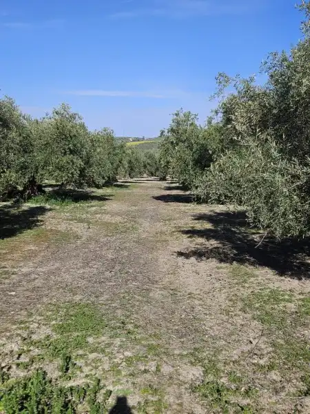 Residencial en venda en Navas del Sepillar