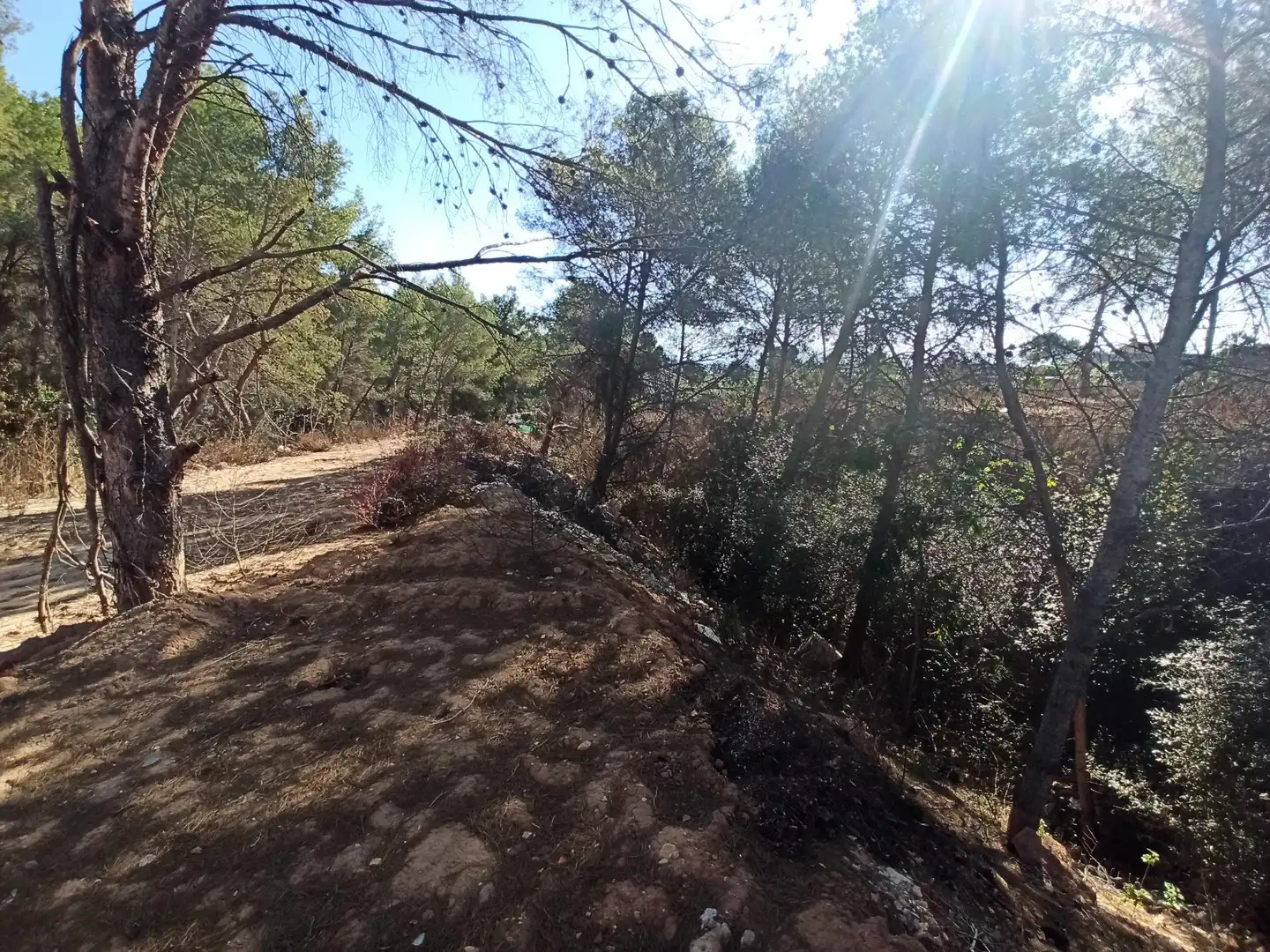 Terreno residencial en venta en Alberic, imagen 3