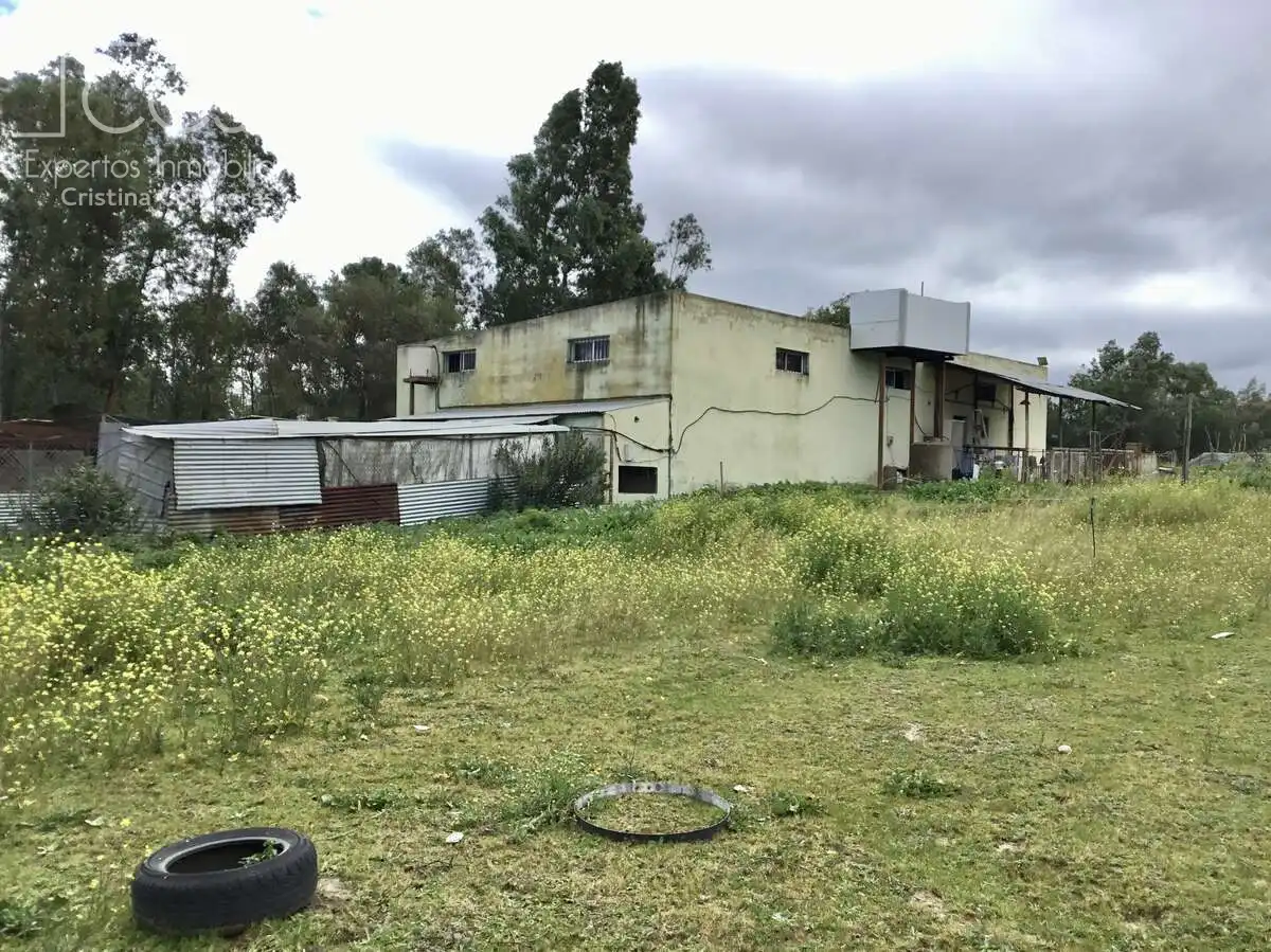 Casa rústica amb piscina en venda a Almonte ciudad, imagen 14