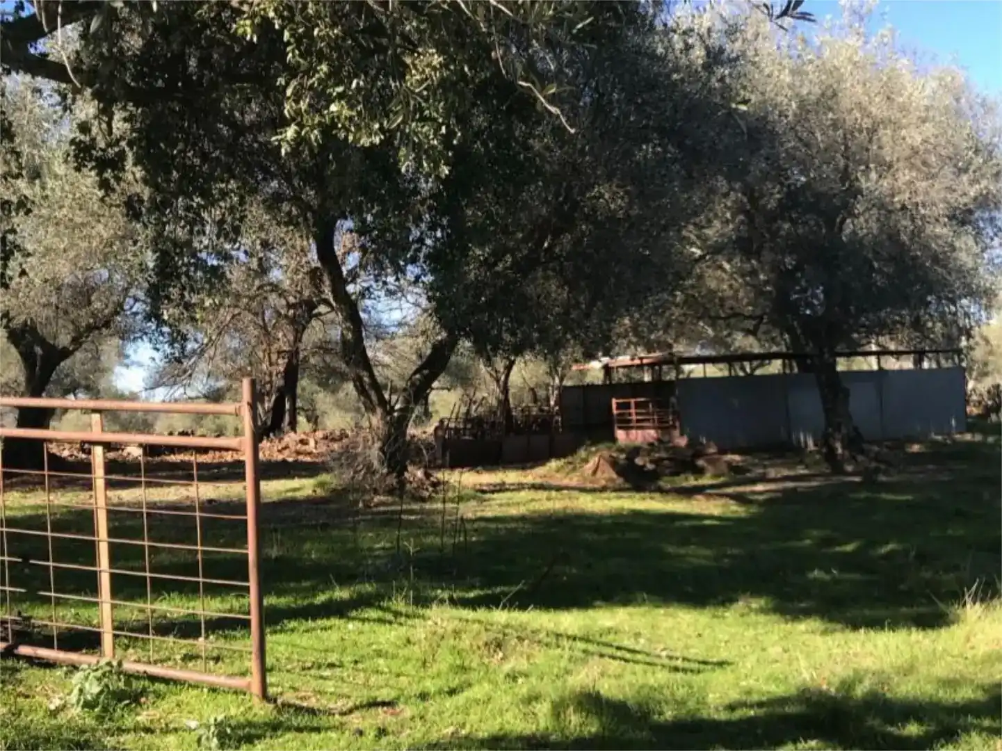 Terreno en venta en Calera de León