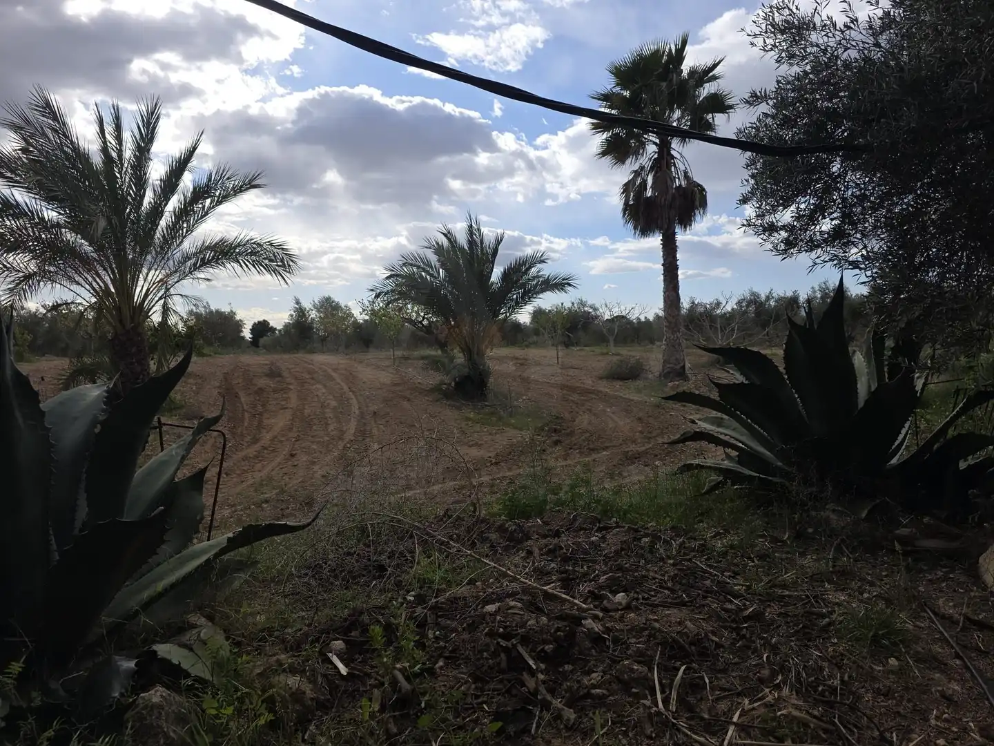 Casa amb piscina en venda a Jumilla, imagen 21