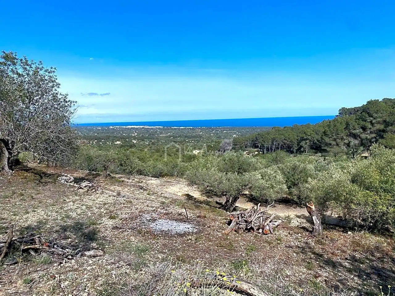Terreno rustico in vendita a Puig Moltó