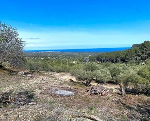 Land for sale in Puig Moltó, Roques Daurades - L'Estany