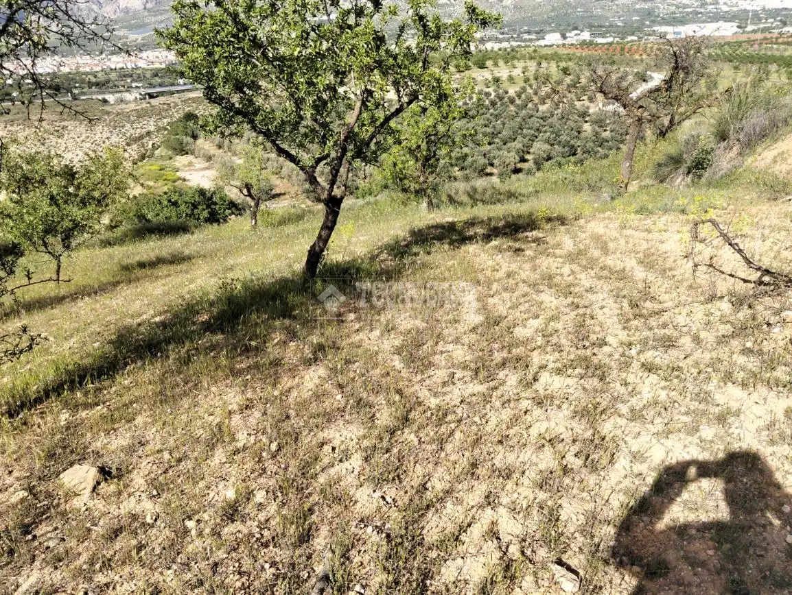 Rural land for sale in Dúrcal, imagen 25