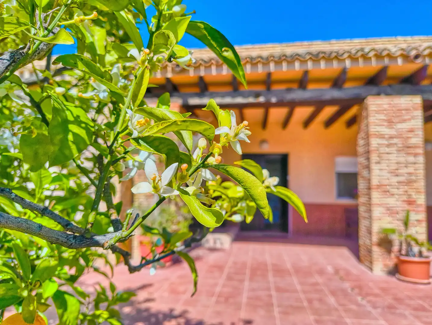 Exterior view of Houses for sale in Elche / Elx  with Air Conditioner, Heating and Terrace