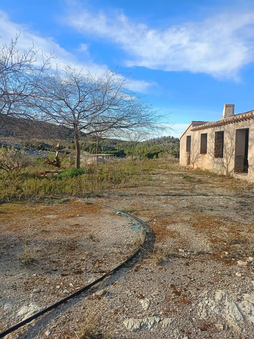 Maison rustique à vendre à Pedanías Centro, imagen 6