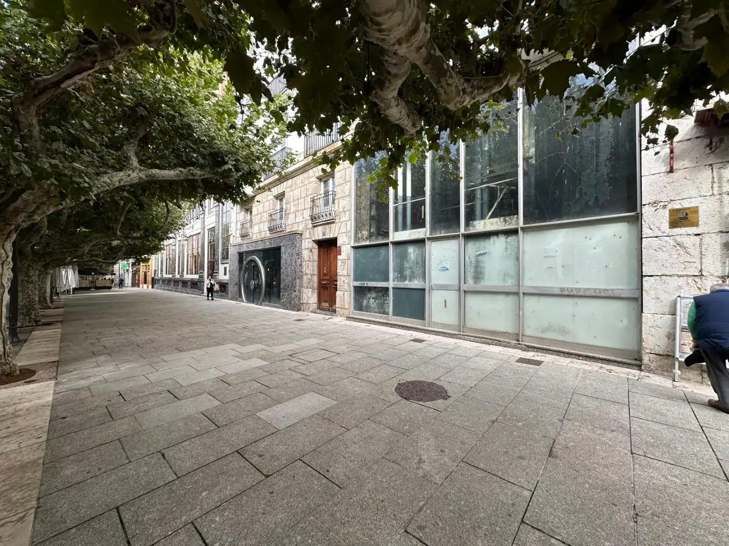 Gewerbefläche zur Miete in Paseo Espolón, imagen 2