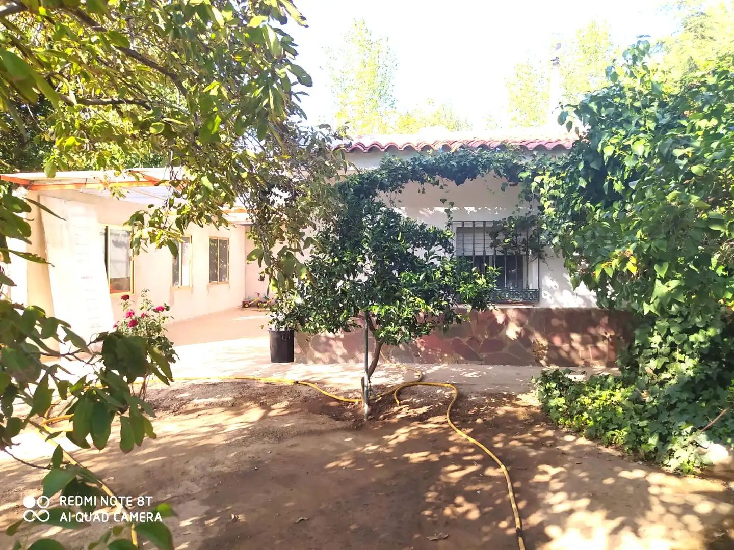 Chalet con jardín en venta en Malagón, imagen 15