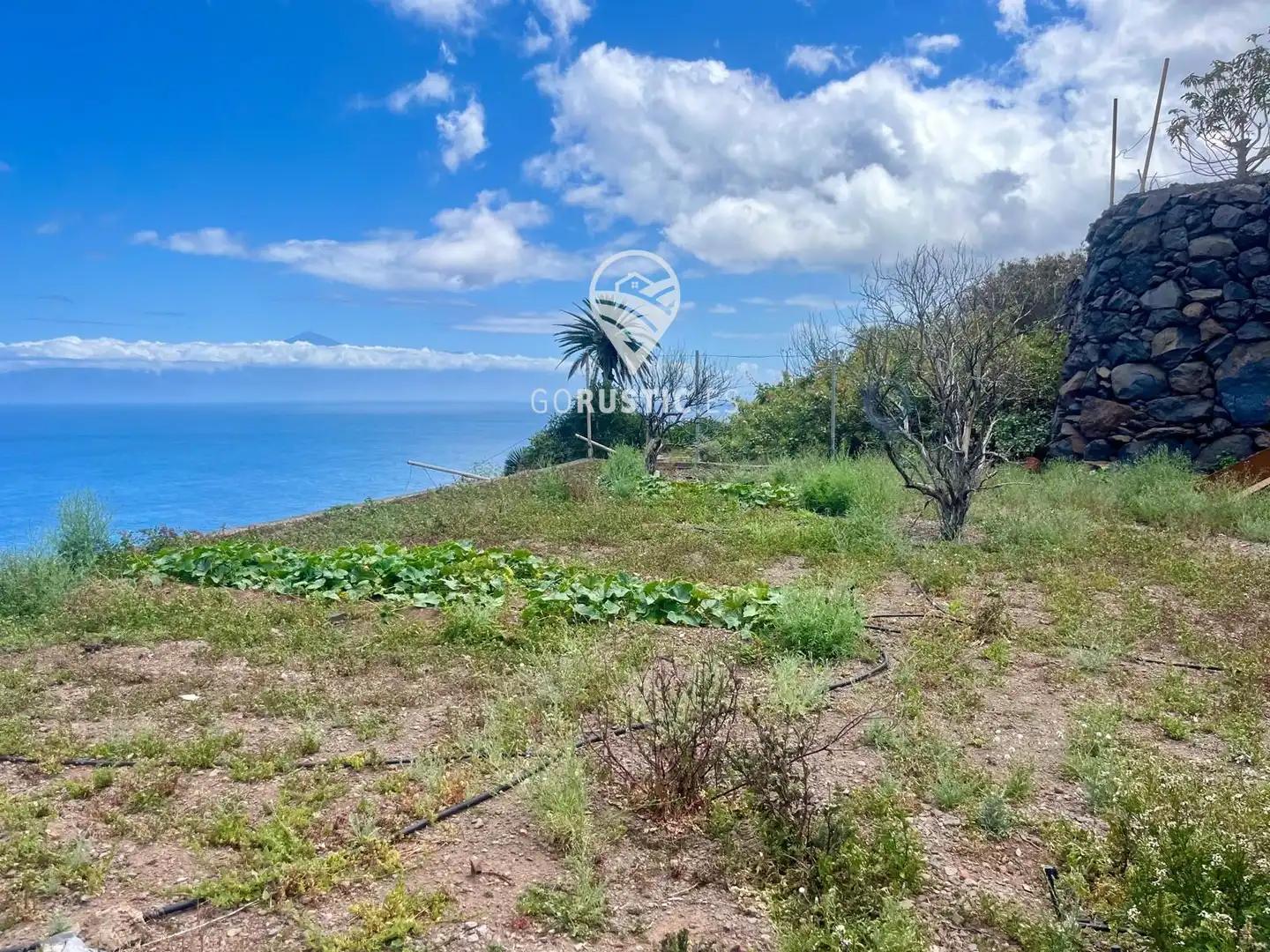 Terreno en venta en Agulo