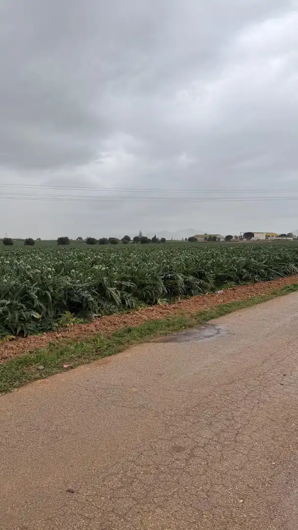 Terreno en venta en Murcia