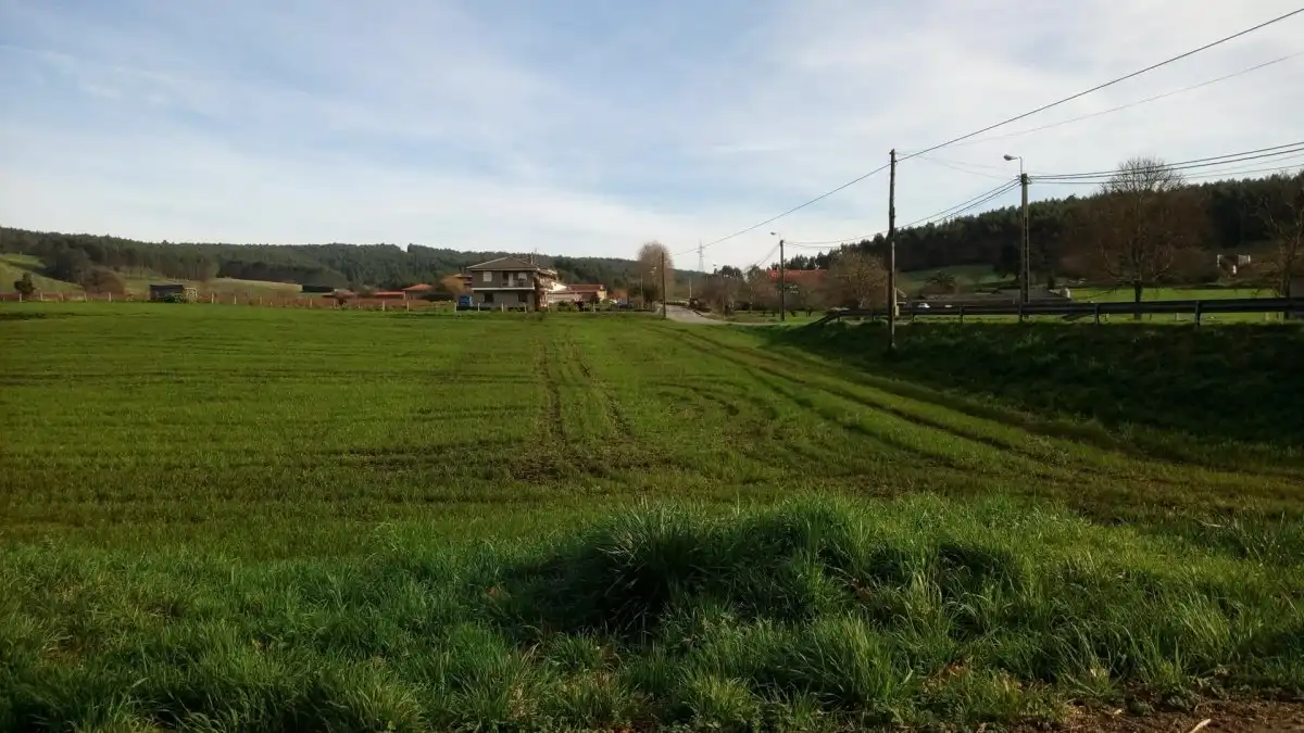 Terreni e lotti in vendita a Güemes, imagen 2