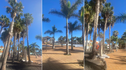 Photo 4 of Apartment for sale in Corralejo, La Oliva