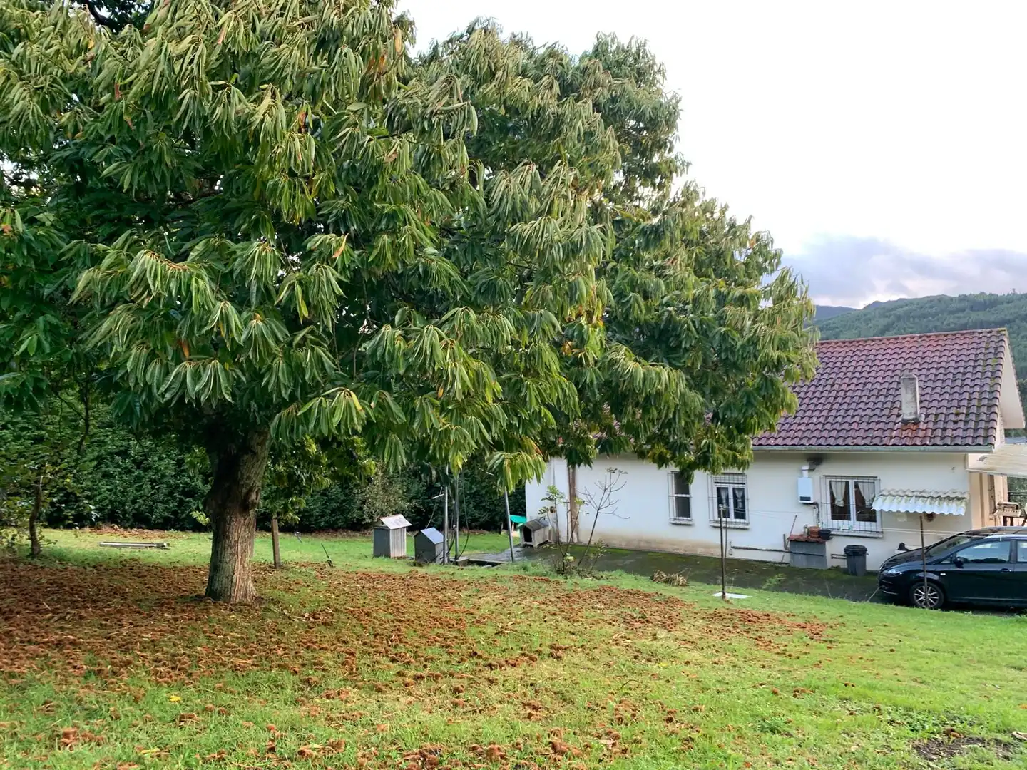 Jardín de Casa o chalet en venta en Neda con Calefacción, Jardín privado y Amueblado