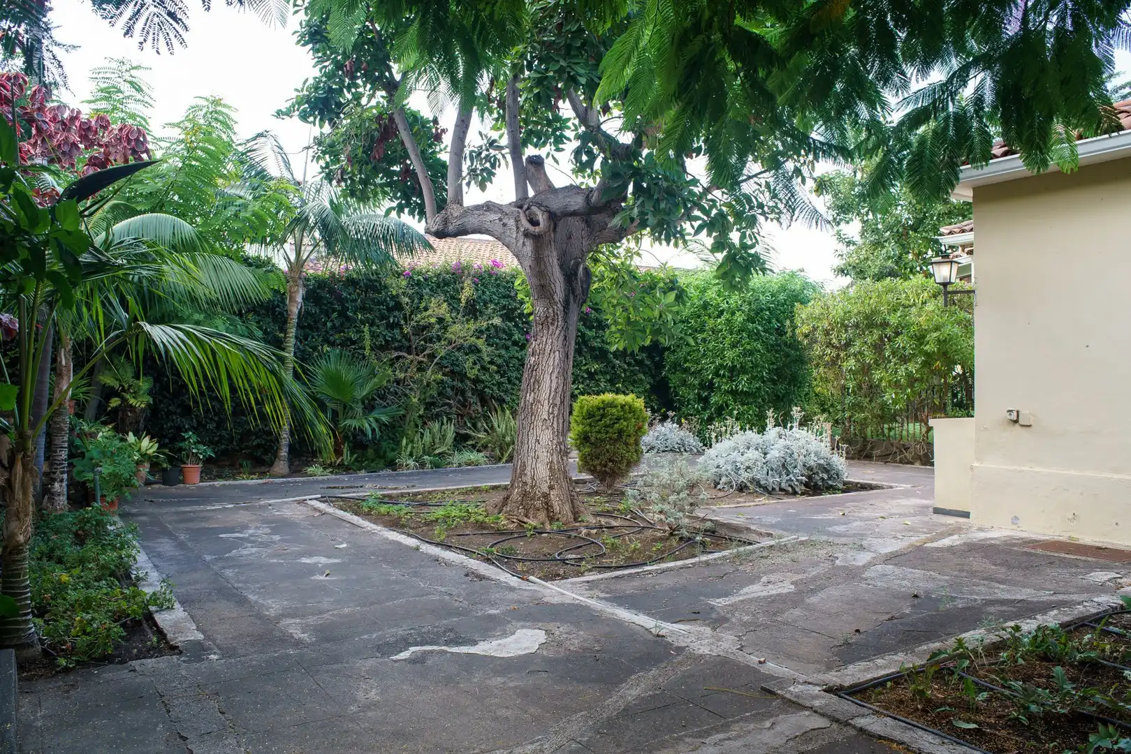 House for sale in San Antonio - Las Arenas, imagen 13